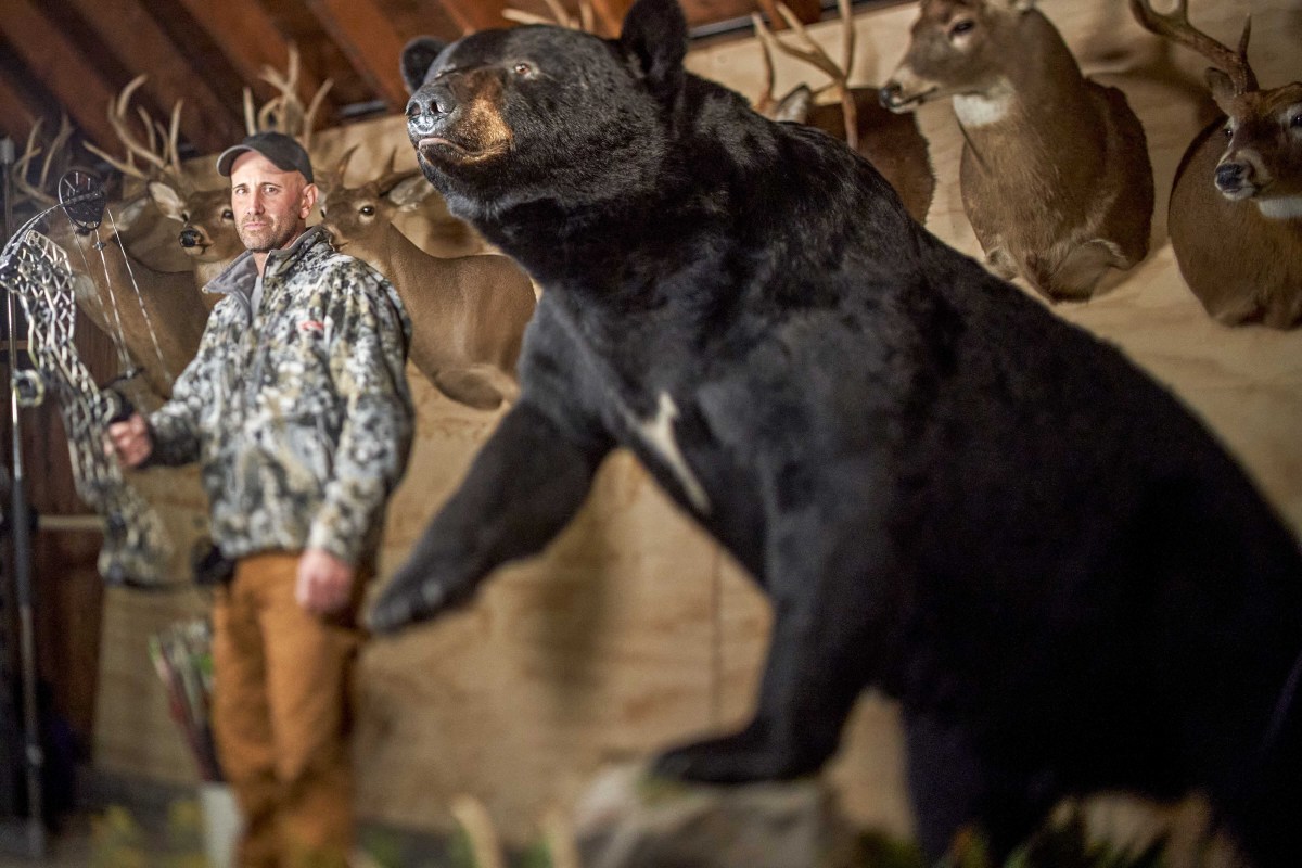Melillo at home with his stuffed, record bear.